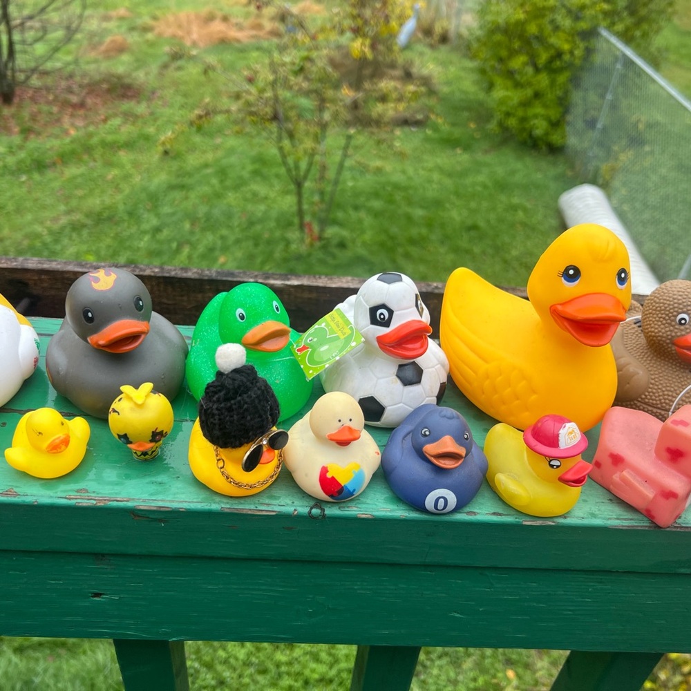 Colorful Rubber Duck Collection - Picture 5 of 10